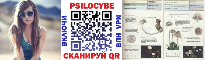 OMG tor  Черногорск  Галлюциногенные грибы GOLDEN TEACHER 